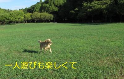 b0008217_013359.jpg