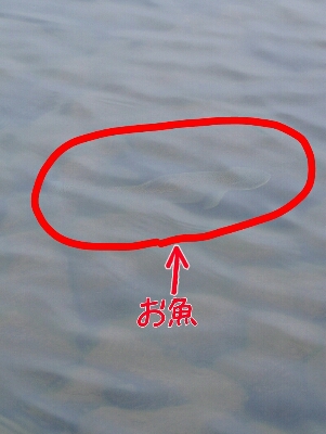b0236618_0431596.jpg