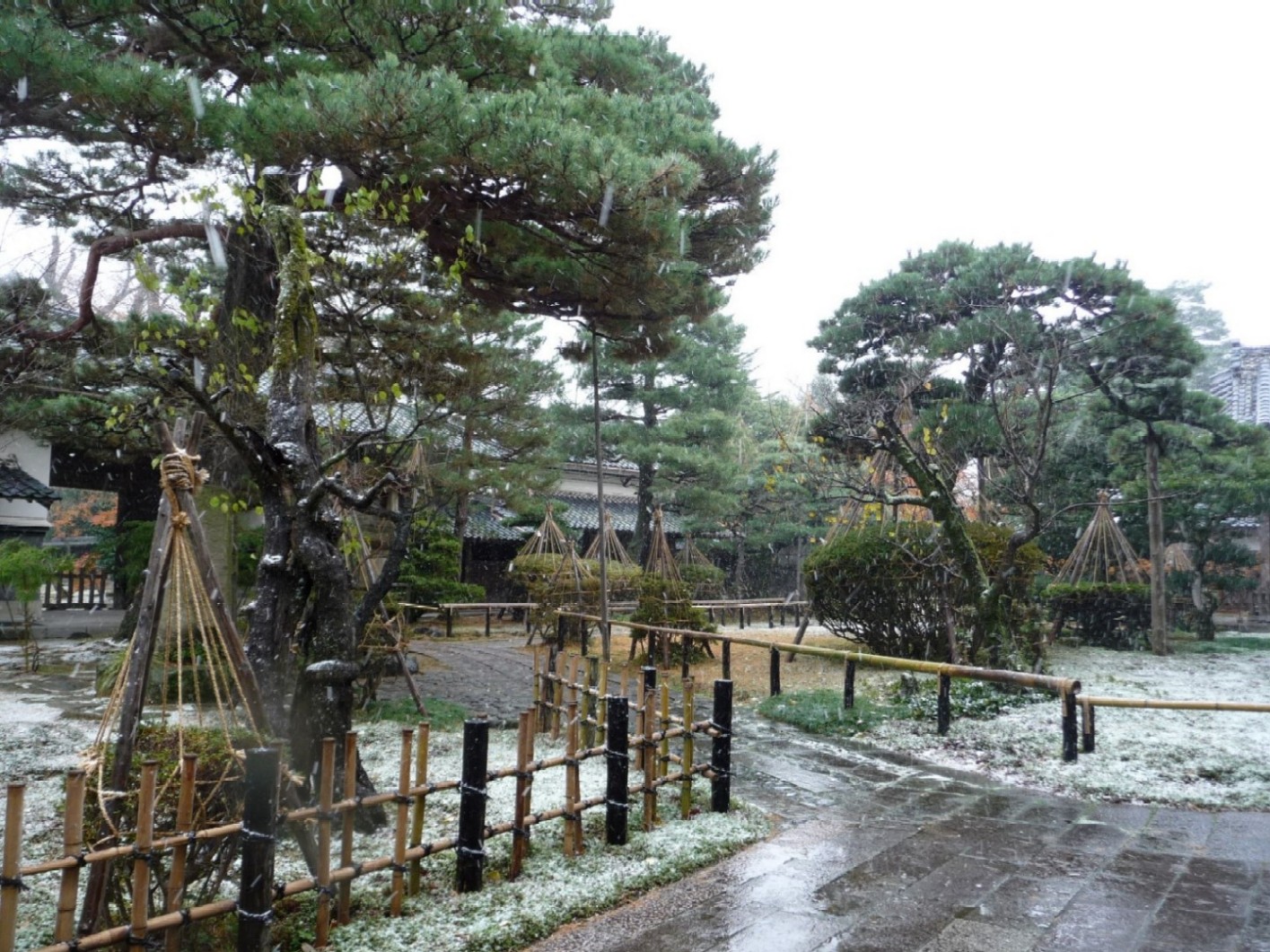 e0135219_1072498.jpg