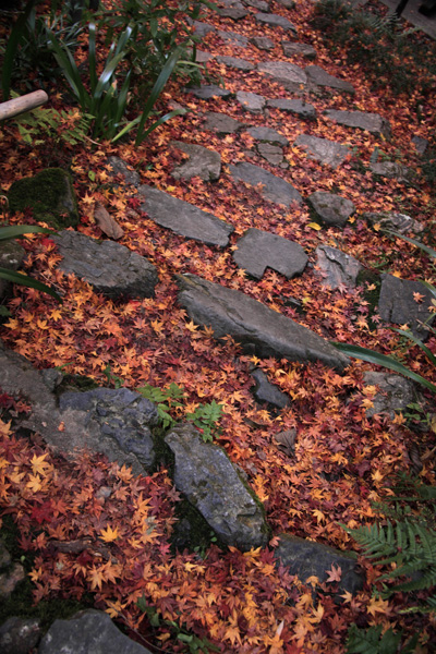 e0025930_2232030.jpg