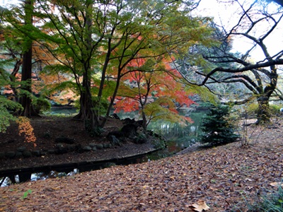 d0037233_15135690.jpg