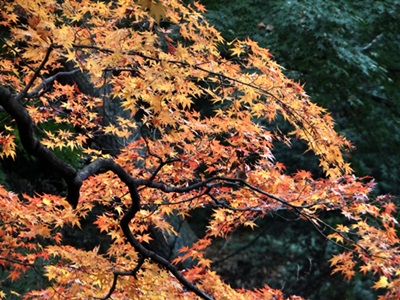 d0037233_15144423.jpg