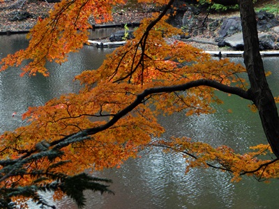 d0037233_15152472.jpg