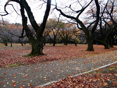 d0037233_15153622.jpg