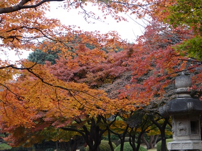 d0037233_15155898.jpg