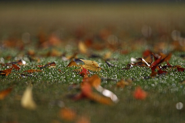 a0242438_22102246.jpg