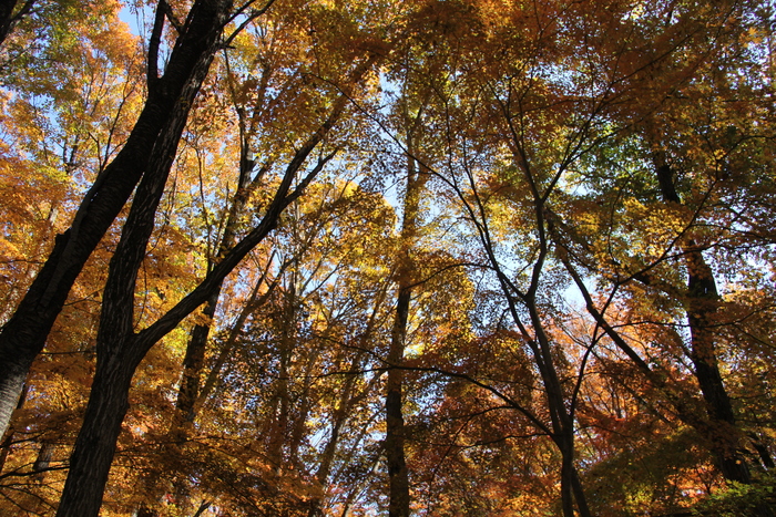 e0227139_20164645.jpg