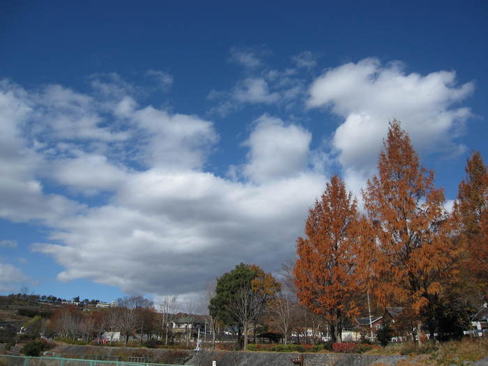 e0227139_23272225.jpg