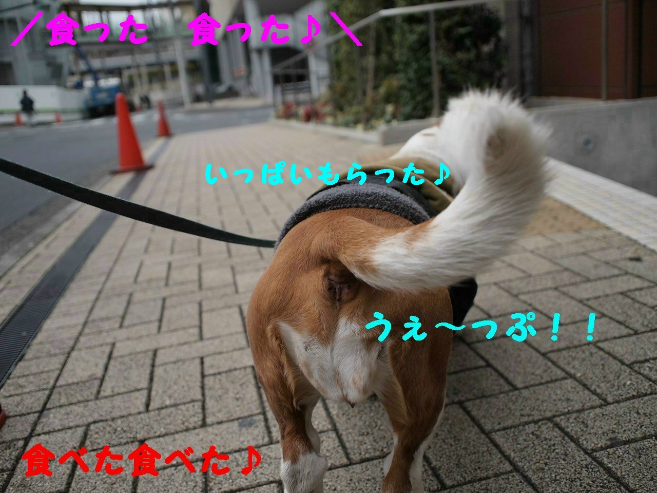 a0299945_11351311.jpg