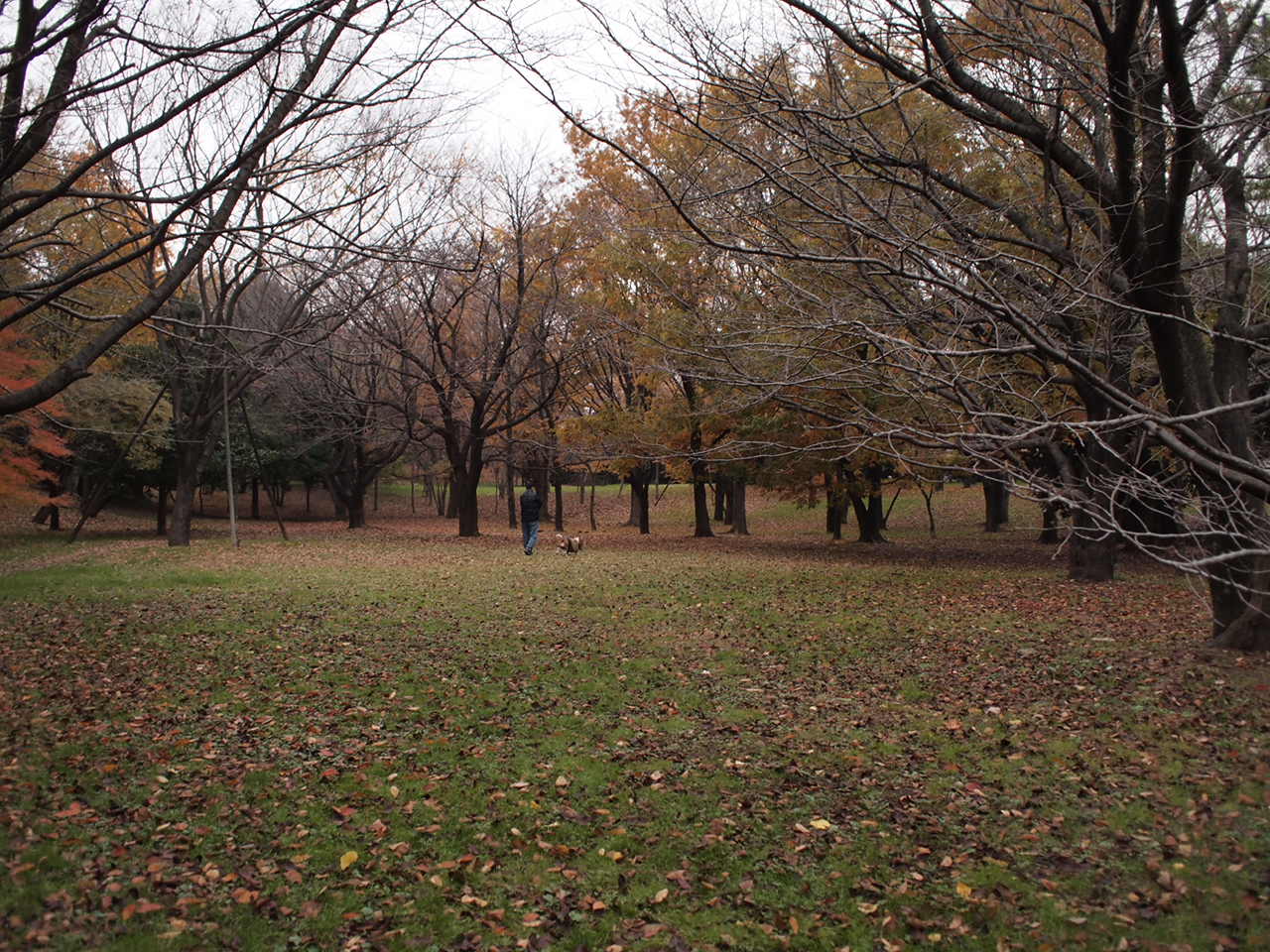 a0299945_11385222.jpg