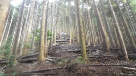 c0042847_20104756.jpg