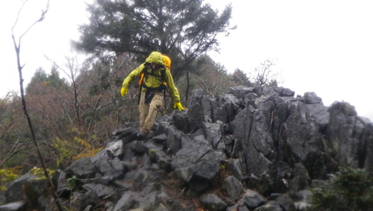 c0042847_20125971.jpg