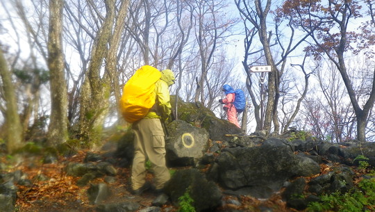 c0042847_20141589.jpg