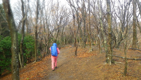 c0042847_2015361.jpg