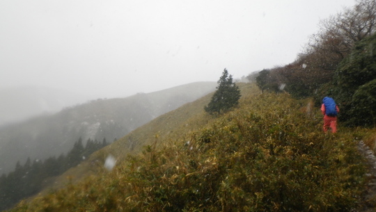 c0042847_20155912.jpg