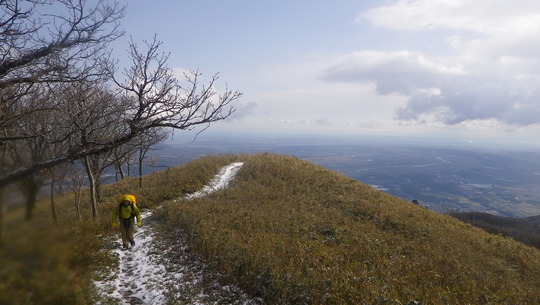 c0042847_20165042.jpg