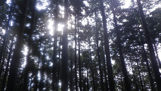 c0042847_20215677.jpg