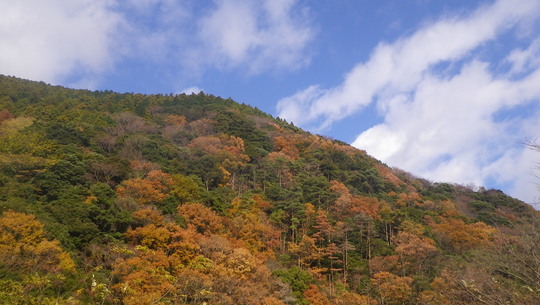 c0042847_2023375.jpg