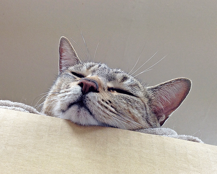 a0001354_23342127.gif