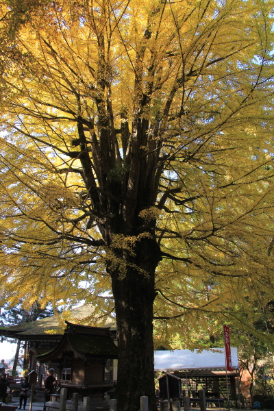 b0055171_14551156.jpg