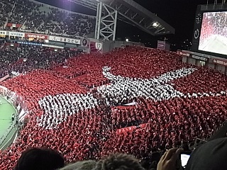 b0185771_23462986.jpg