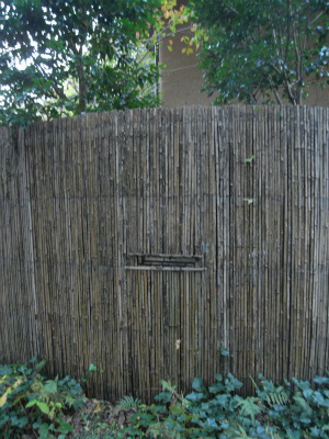 a0076877_14235030.jpg