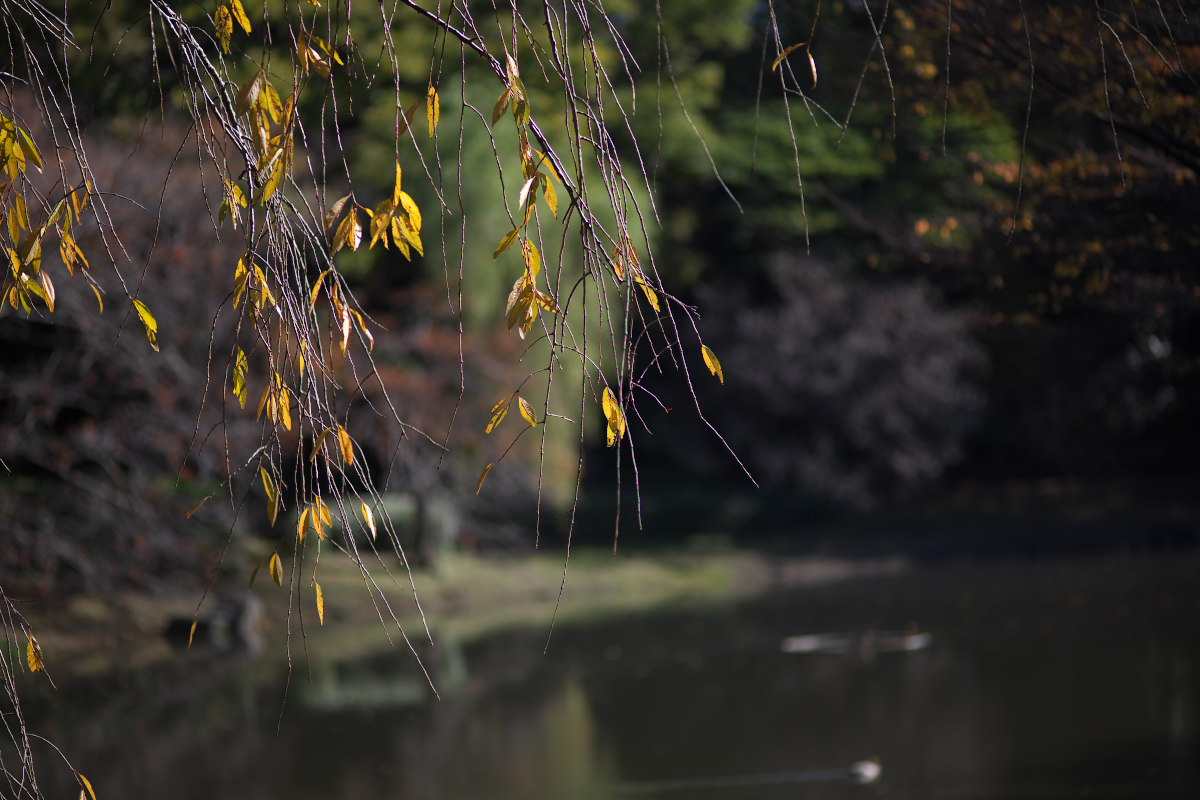 a0083081_9323871.jpg