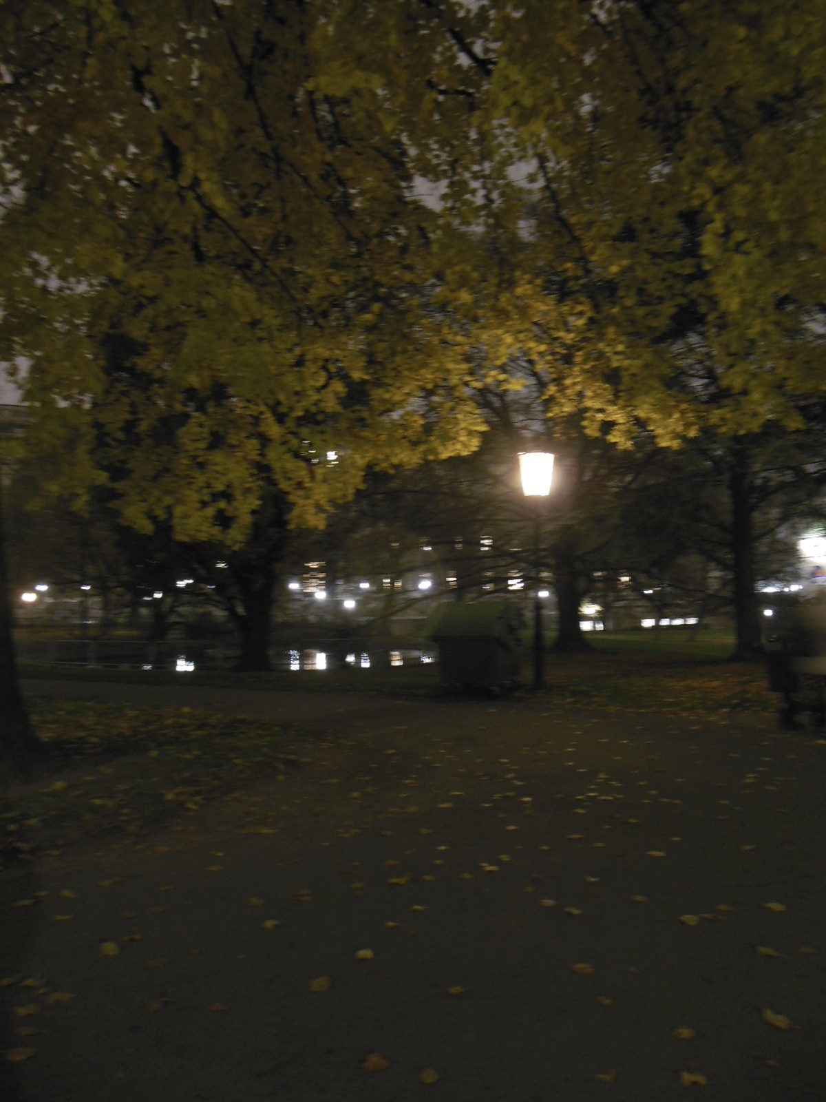 a0080183_339521.jpg
