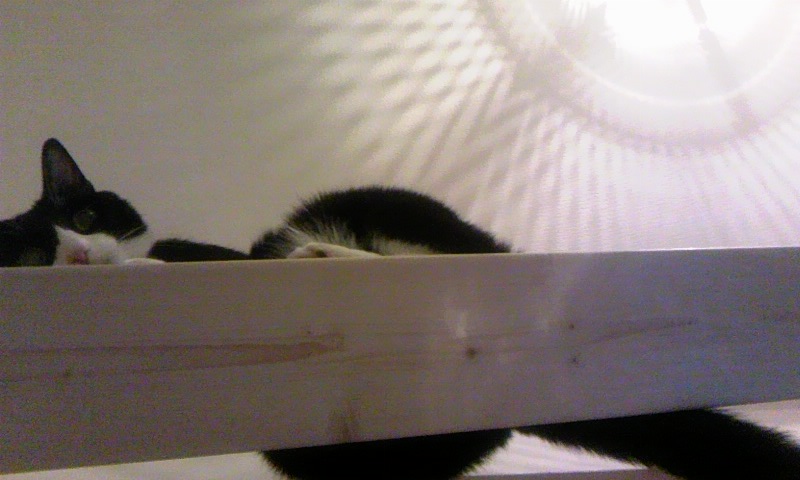 c0181887_0123668.jpg