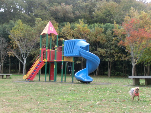 e0123587_20351913.jpg