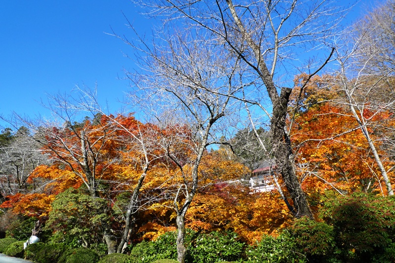a0127090_11514236.jpg