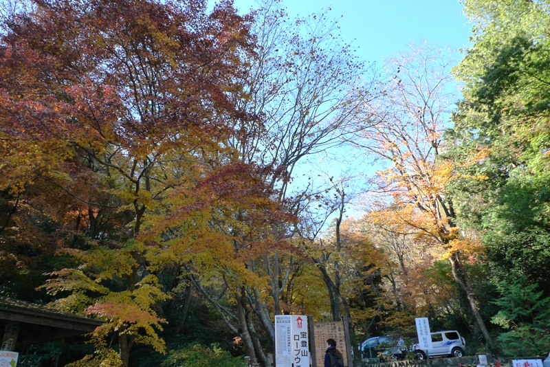 a0127090_11553760.jpg