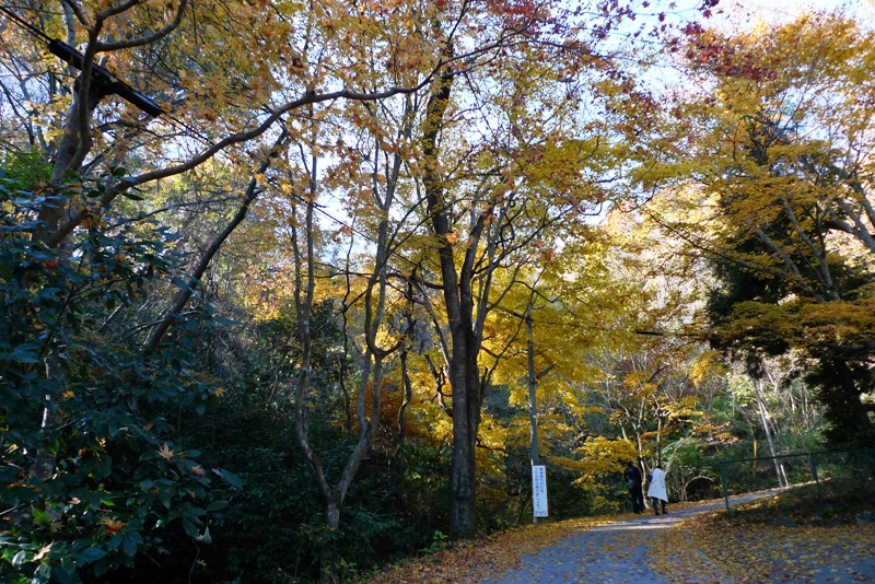 a0127090_11563641.jpg