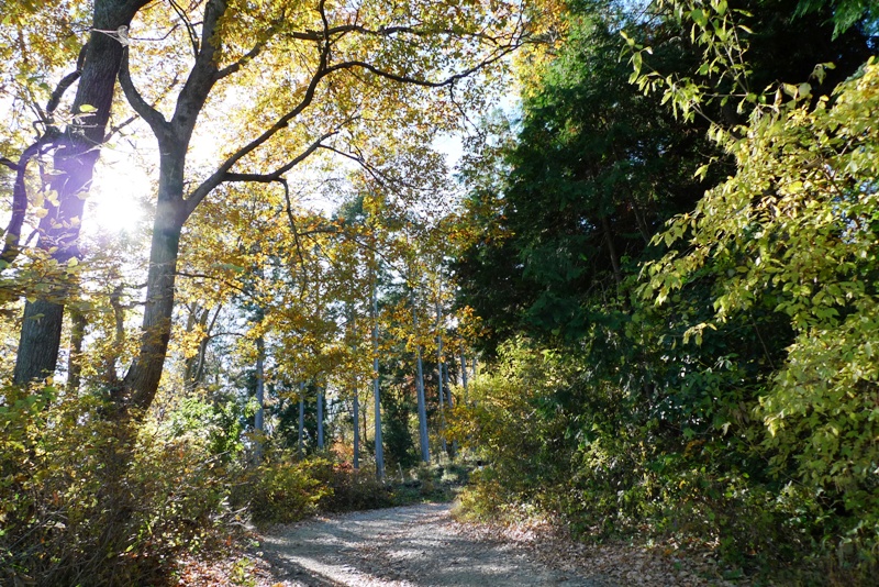 a0127090_12105293.jpg
