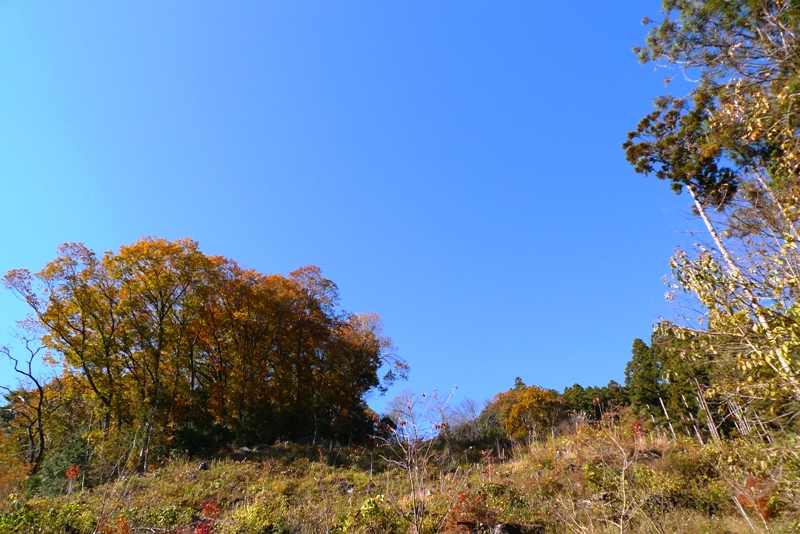 a0127090_12112170.jpg