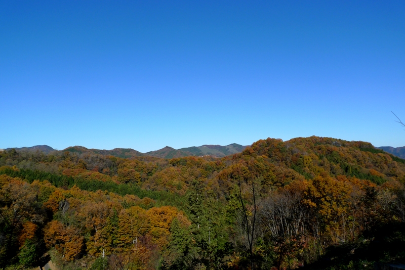 a0127090_1241277.jpg