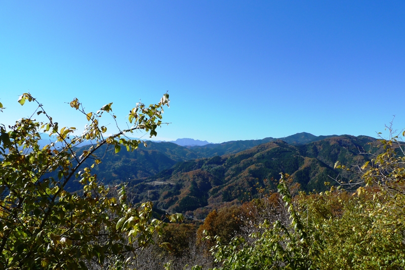 a0127090_21354727.jpg