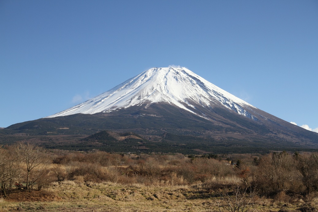 a0090292_22372834.jpg