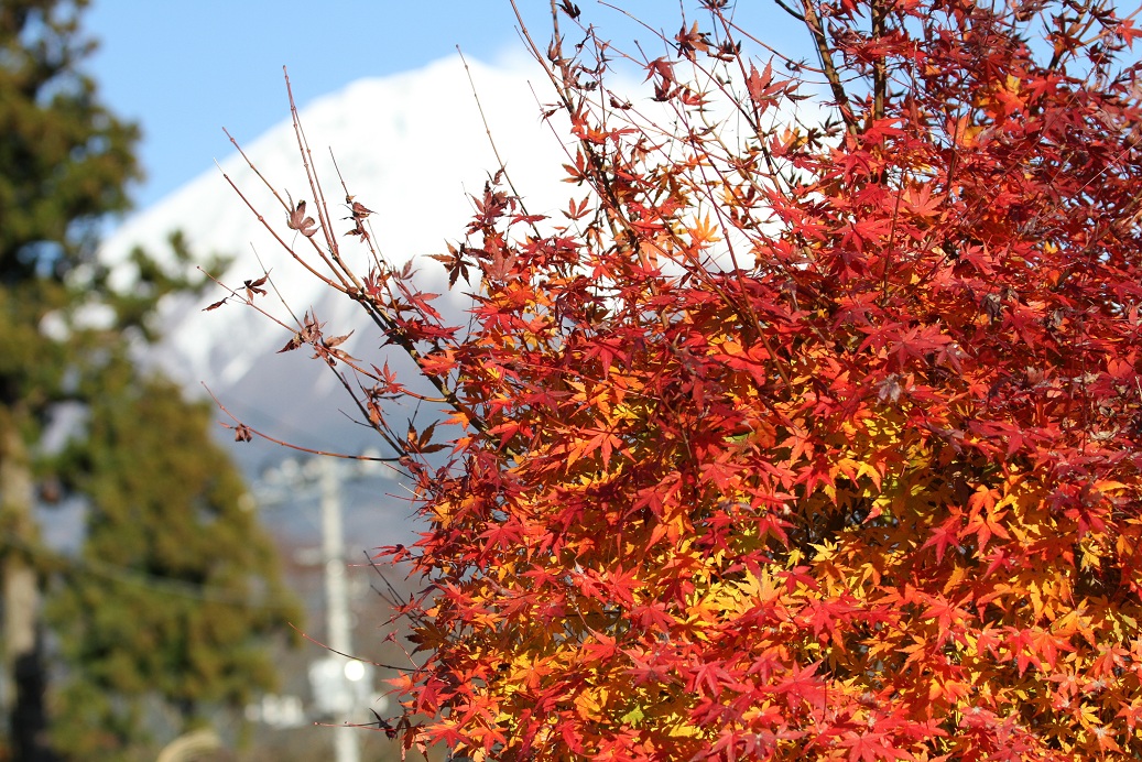 a0090292_22402553.jpg