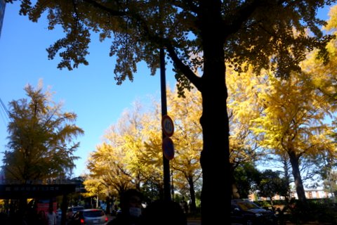 f0137694_0355880.jpg