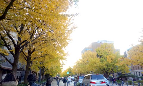 f0137694_0472483.jpg