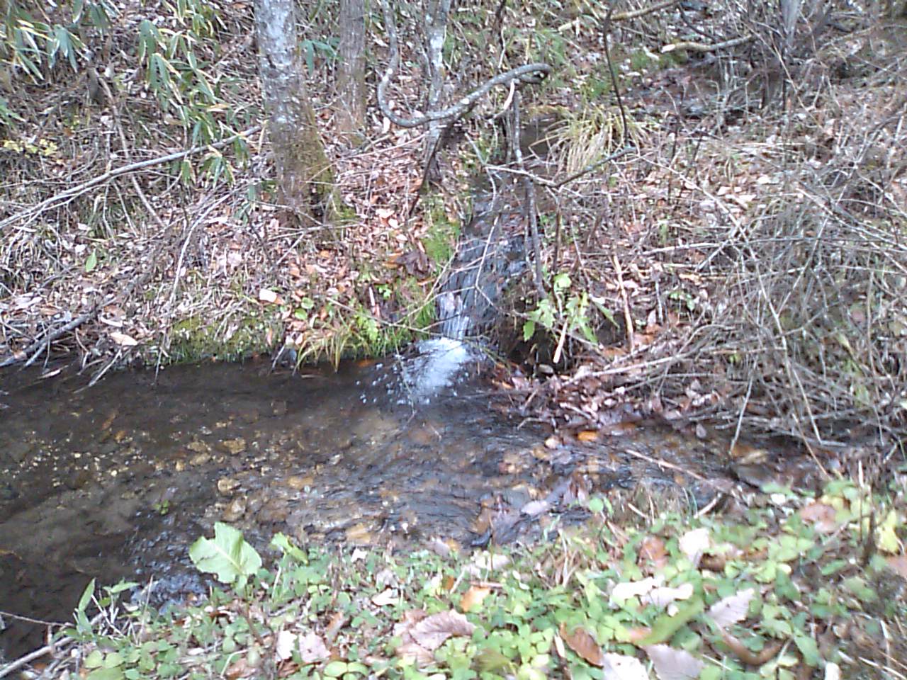 e0068696_10514459.jpg
