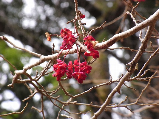f0187402_20282217.jpg