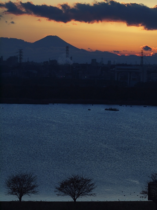 c0187503_029394.jpg