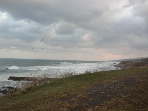 e0242504_1684890.jpg