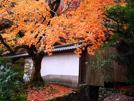 c0146510_21502760.jpg