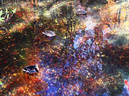 c0146510_2213949.jpg