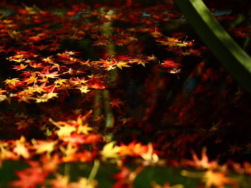 c0146510_222234.jpg