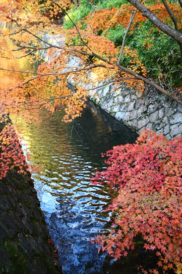 c0146510_2223452.jpg