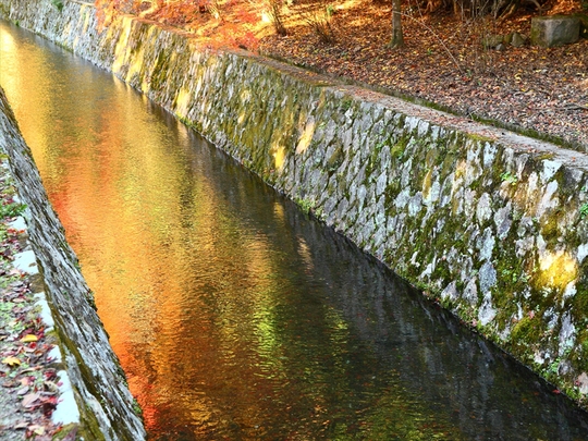 c0146510_2224189.jpg